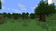 Forest biome (Image via Minecraft)